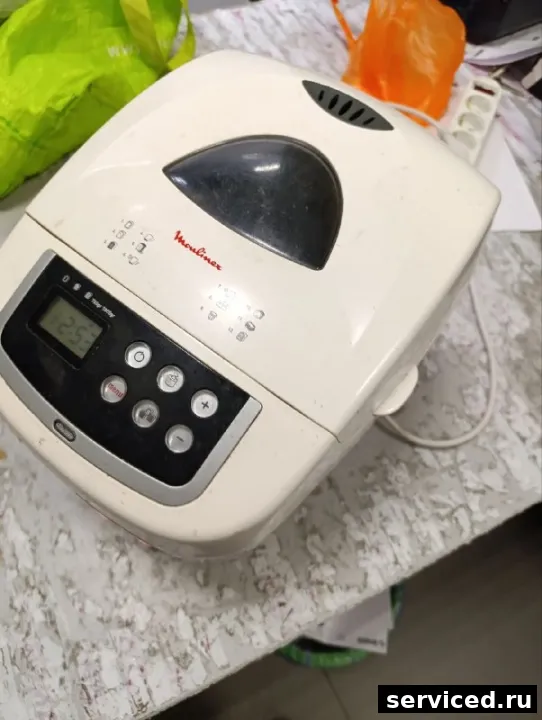Хлебопечь Moulinex OW1101